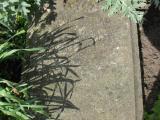 image of grave number 781356